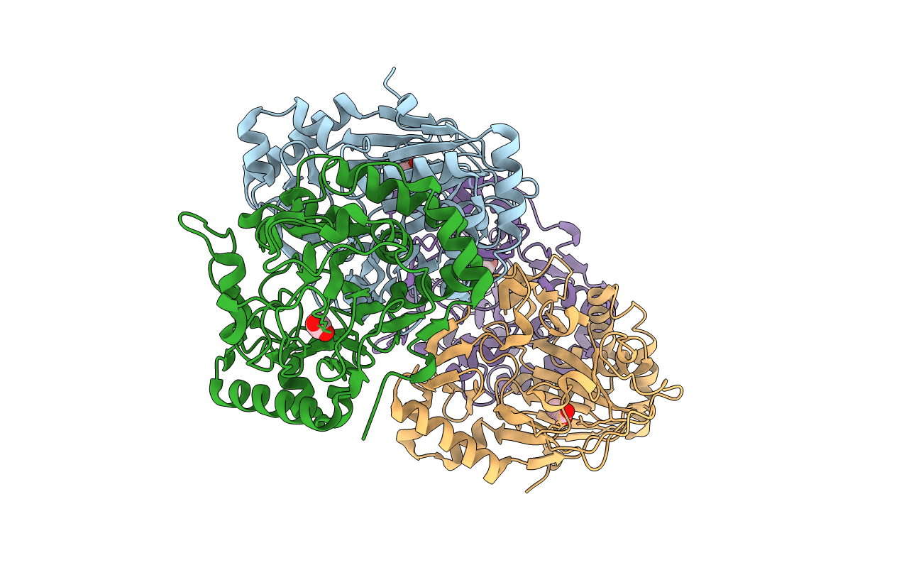 6F2E image