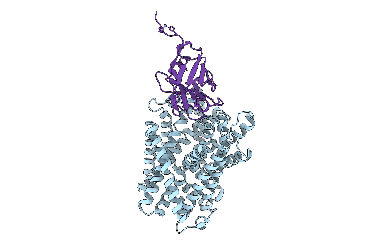 6F2G image