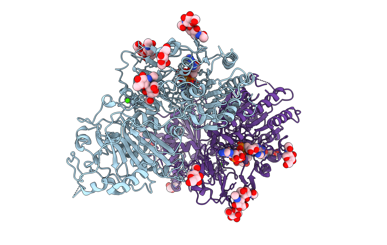 6F2Y image