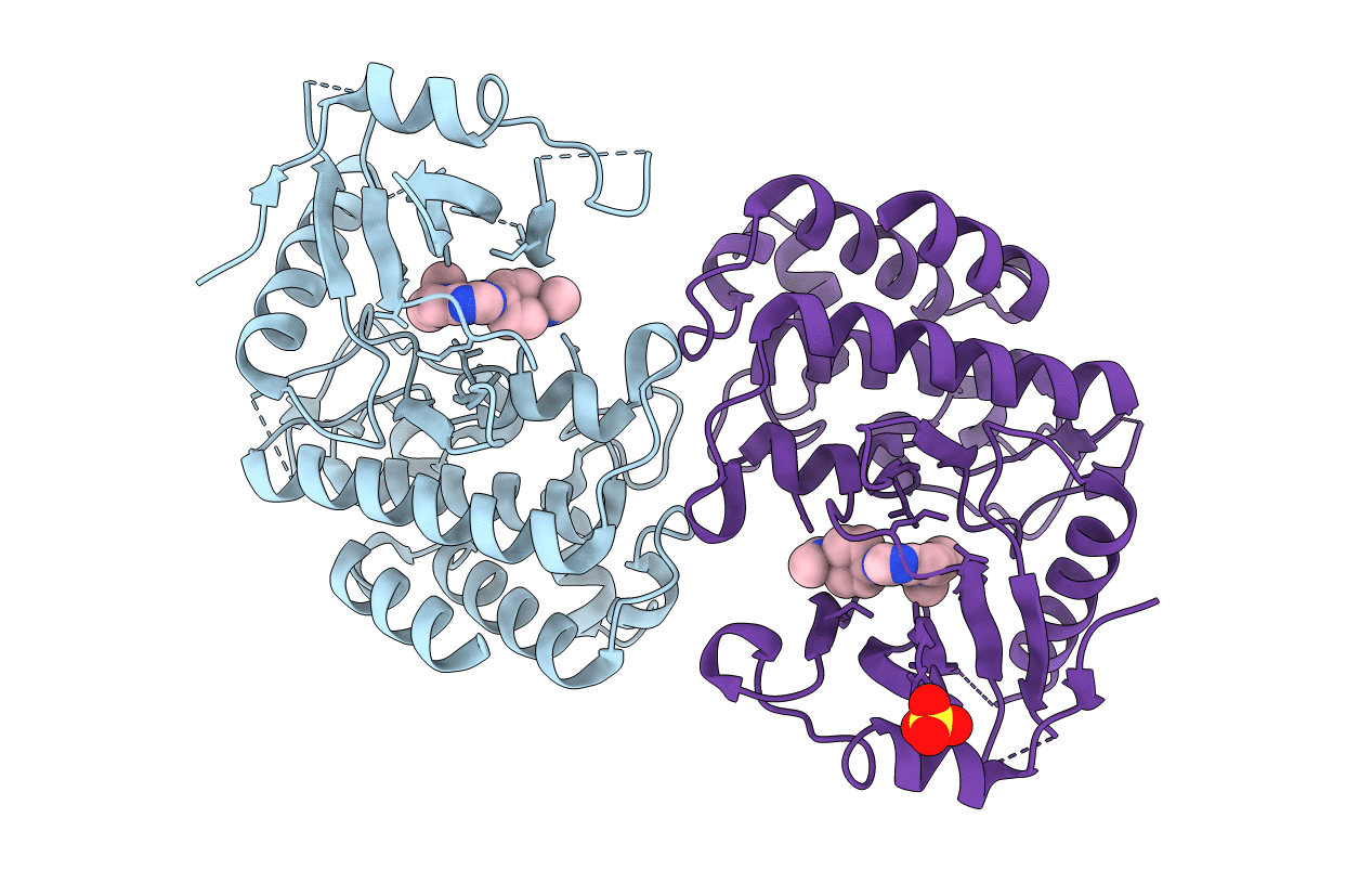 6F3G image