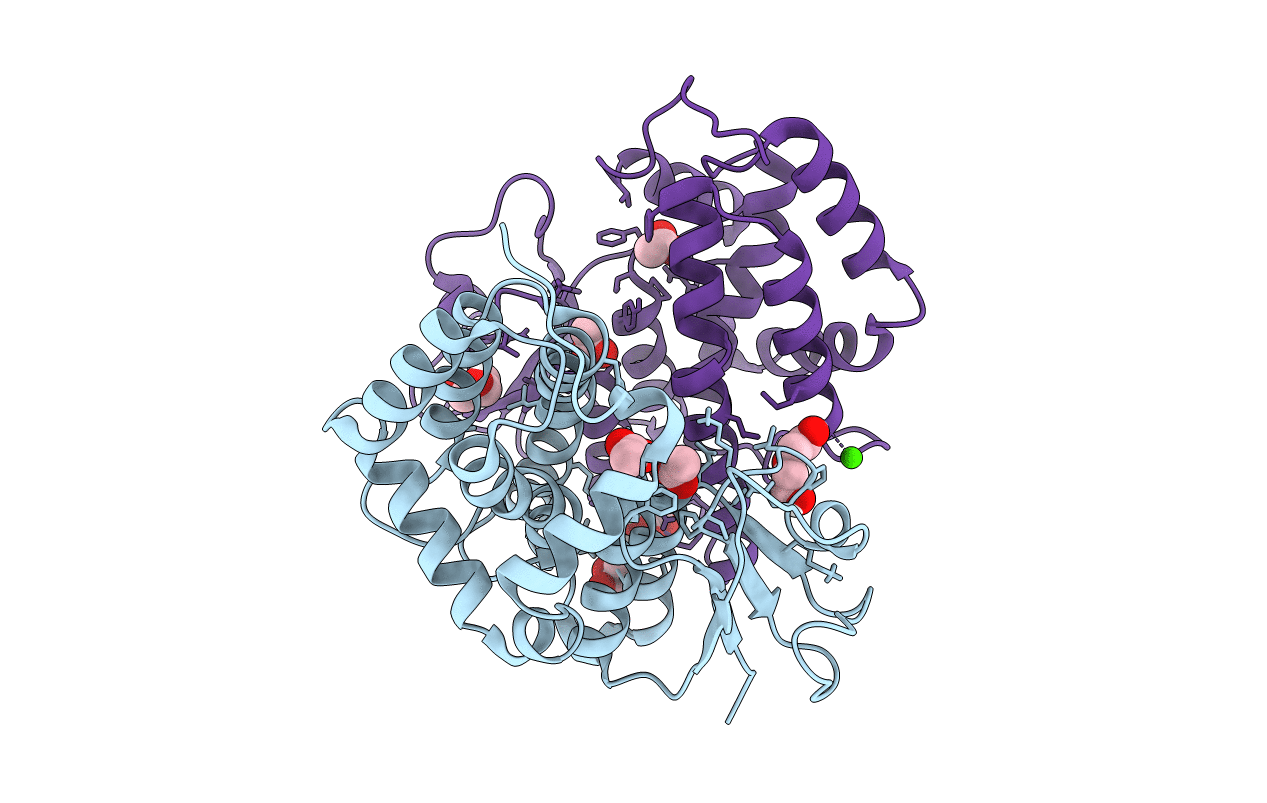 6F43 image