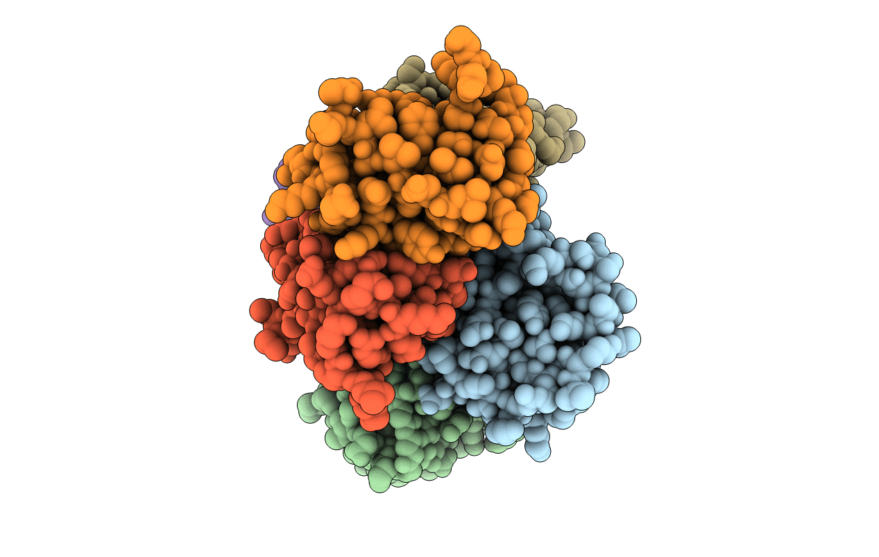 6F4I image