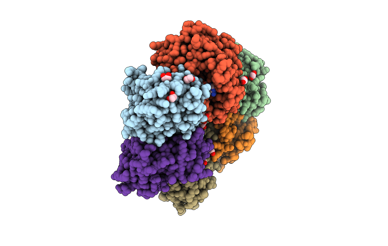 6F4X image