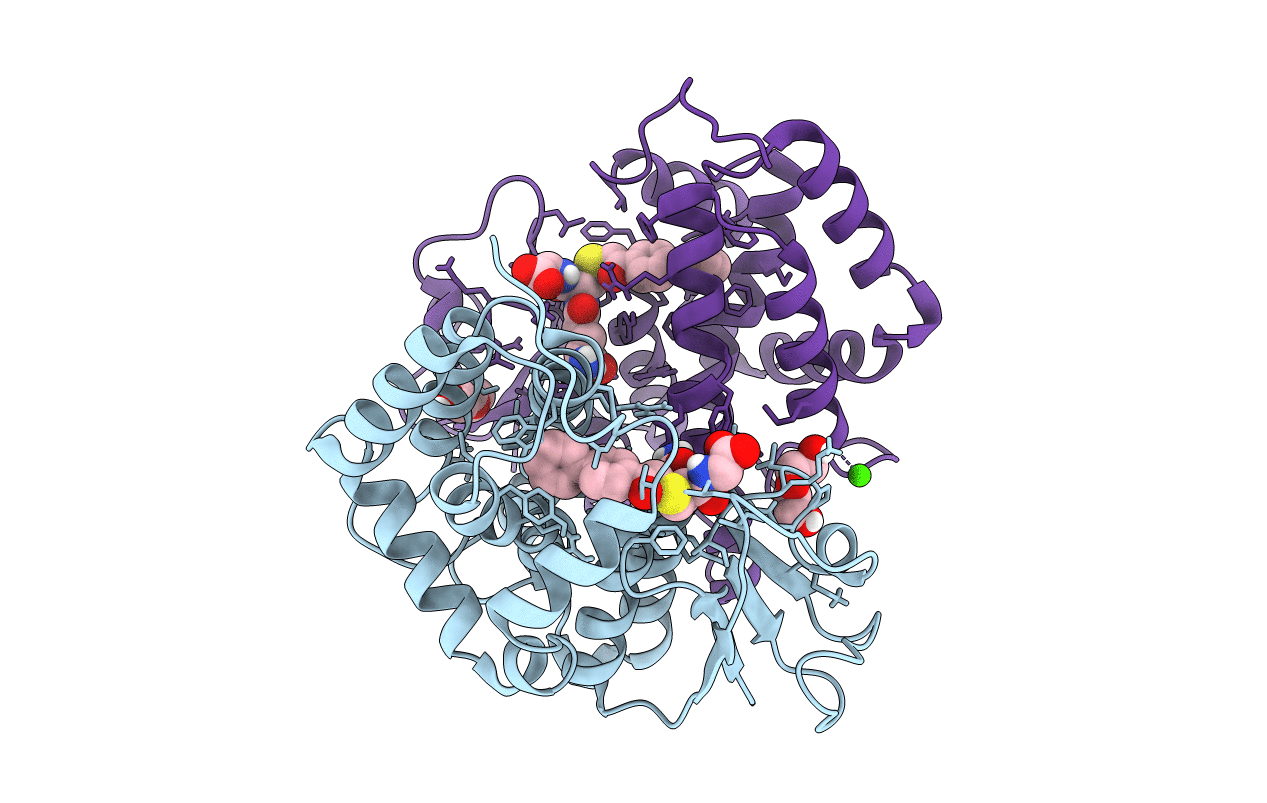 6F51 image