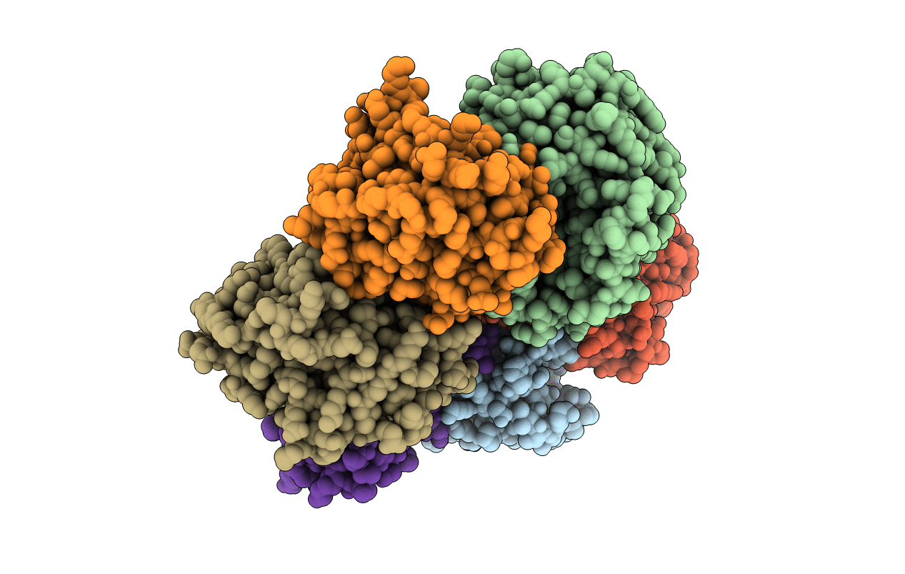 6F5A image