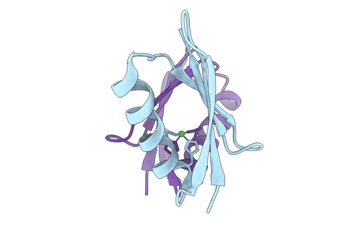6F5N image