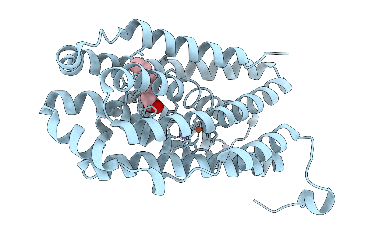 6F65 image