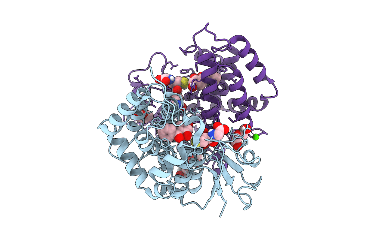 6F66 image
