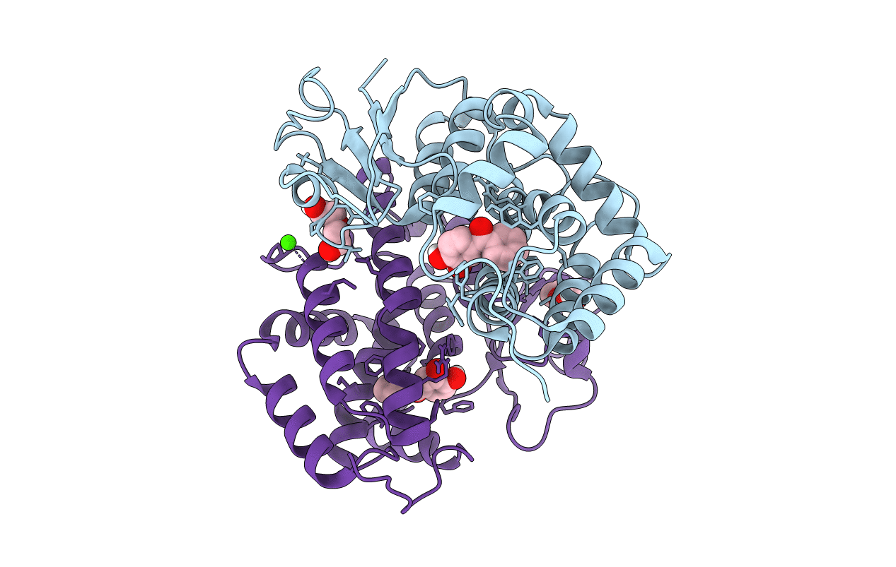 6F67 image