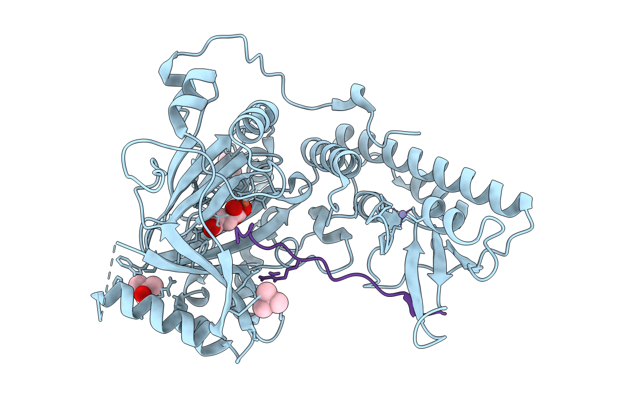 6F6D image