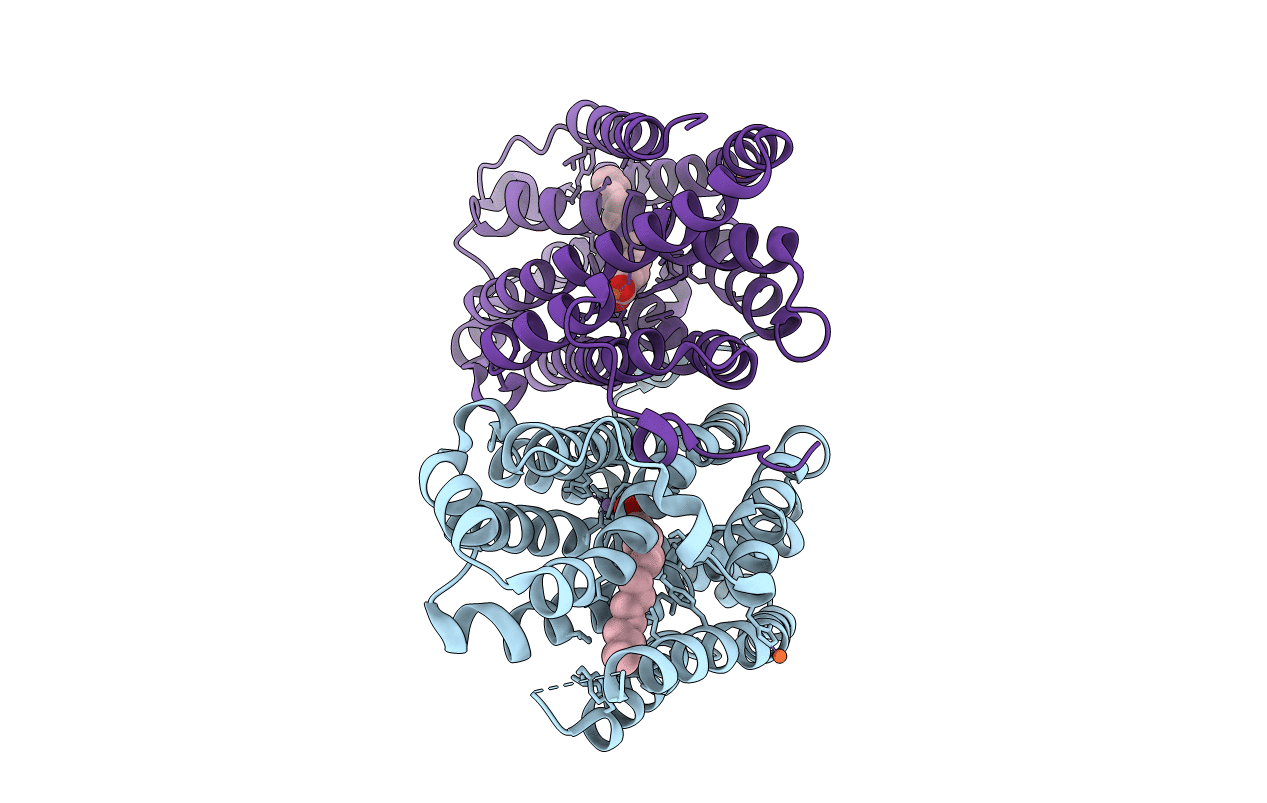 6F6G image