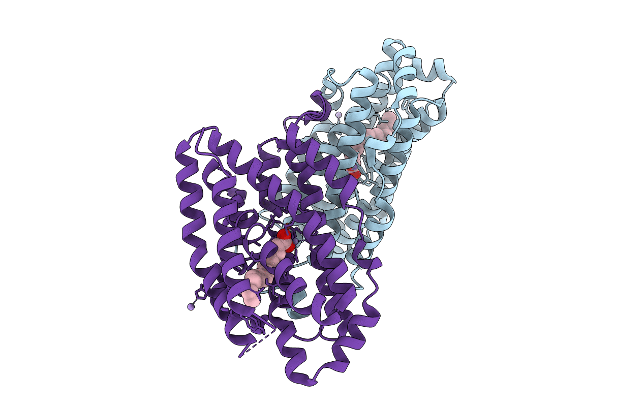 6F6H image
