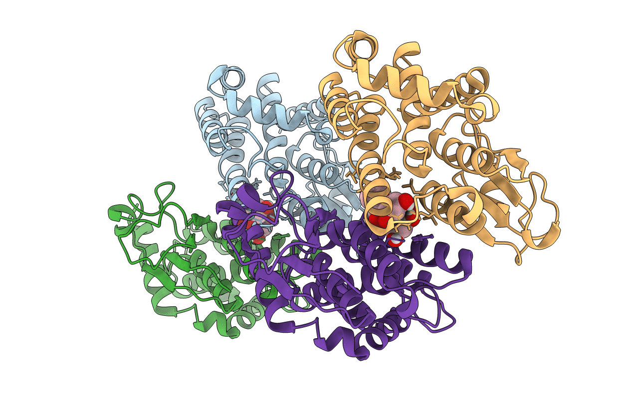 6F71 image
