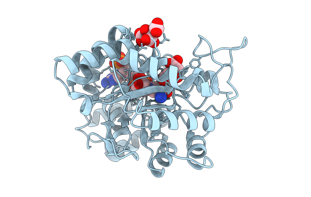 6F7R image