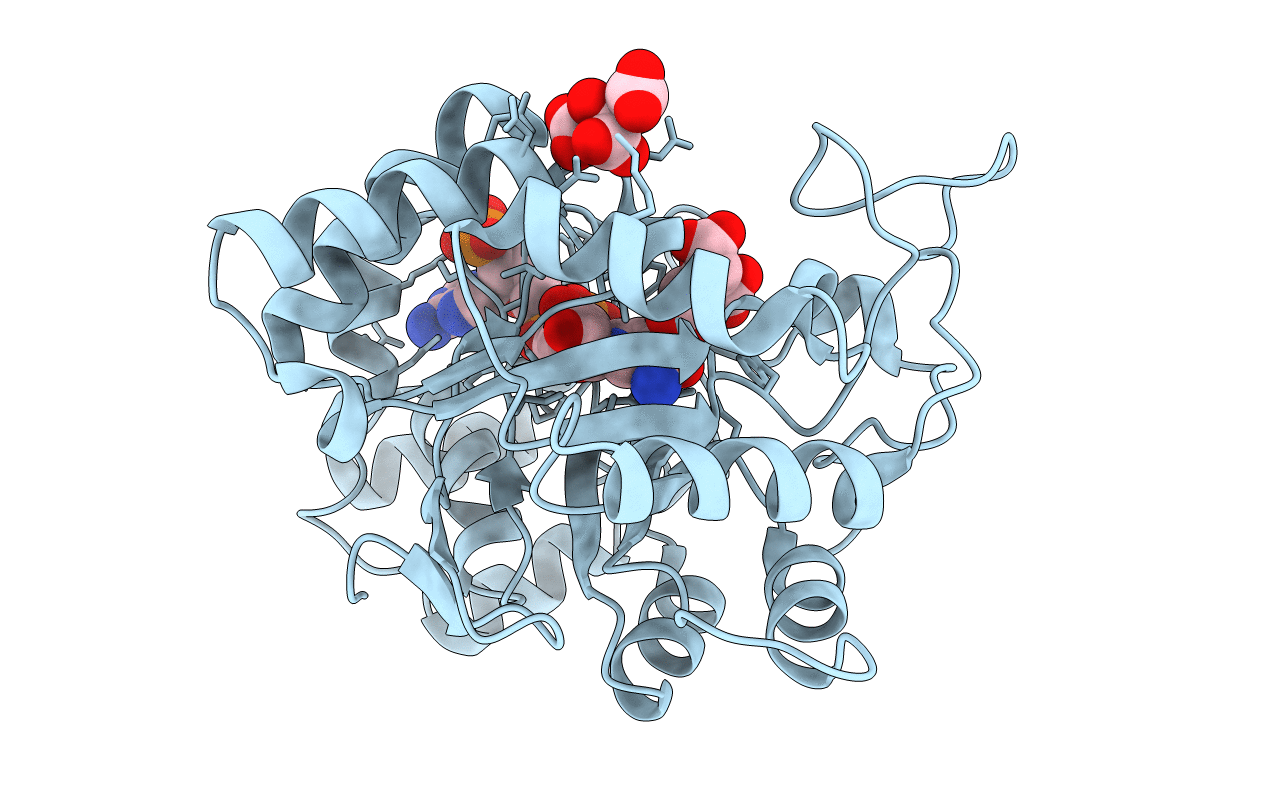 6F81 image