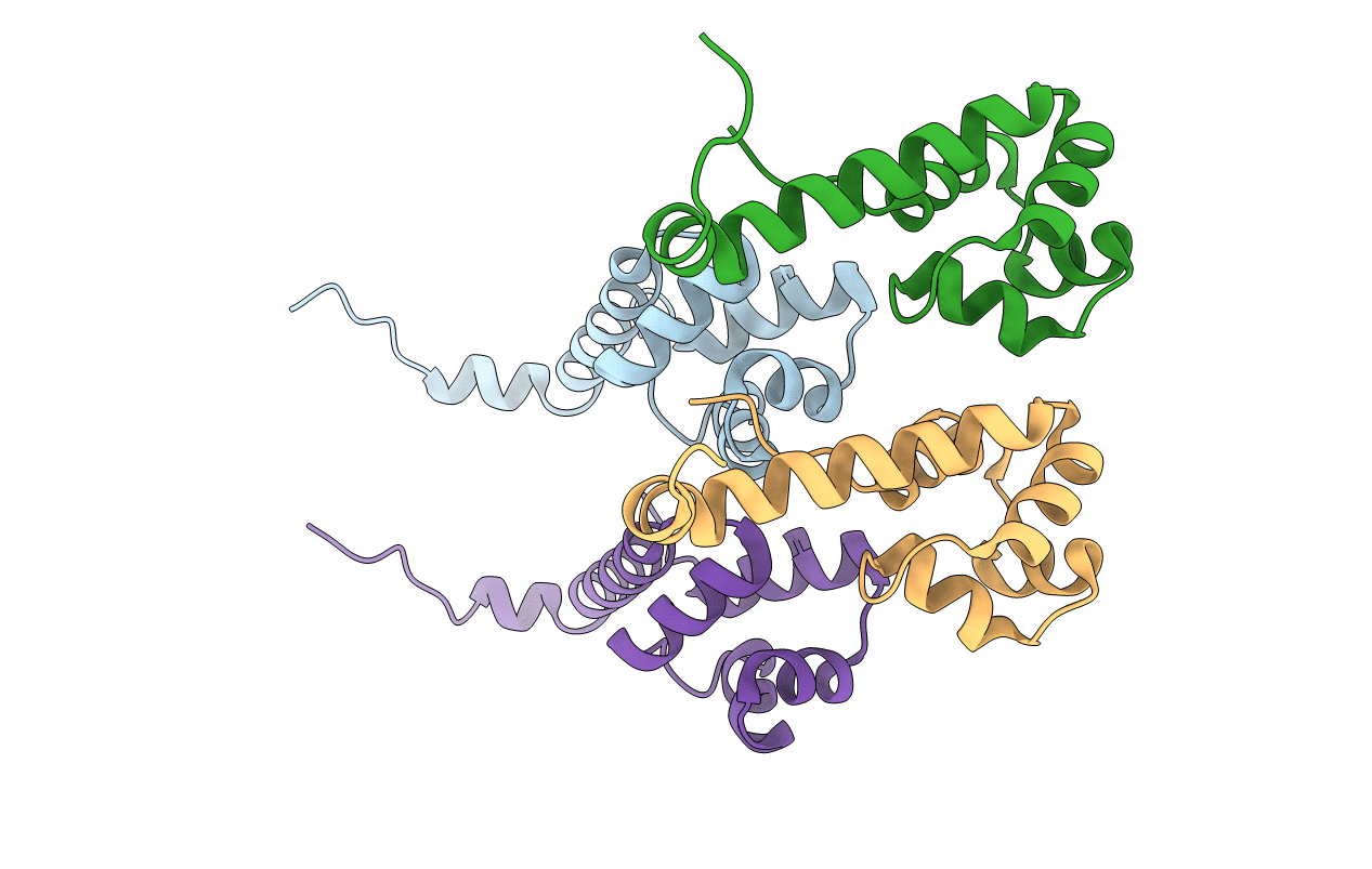 6F8H image