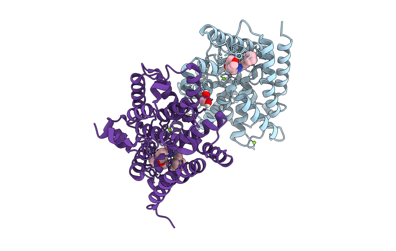 6F8R image