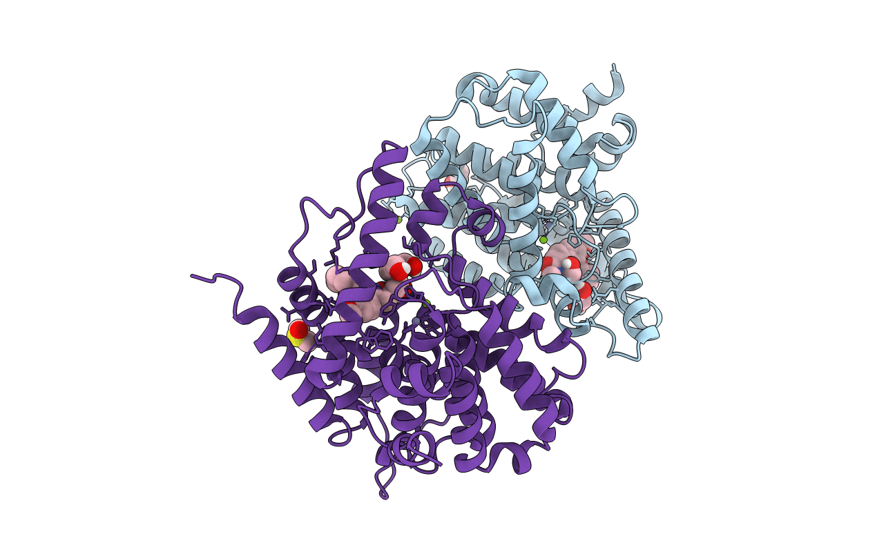 6F8X image