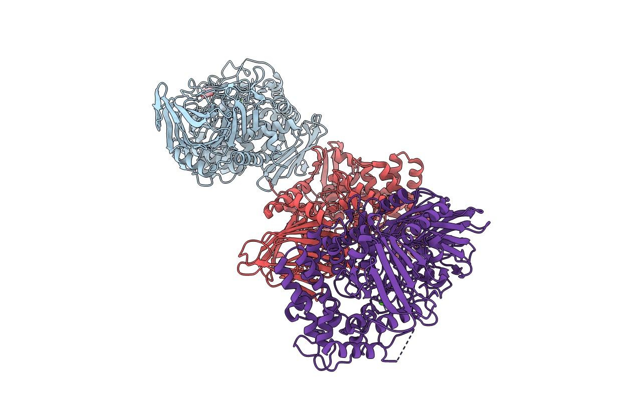 6F8Z image