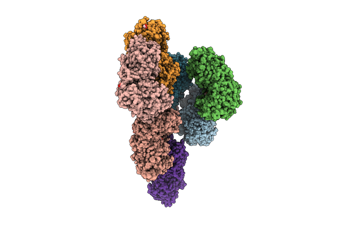 6F91 image