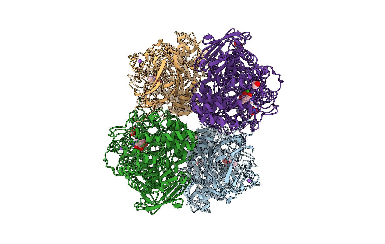 6F92 image