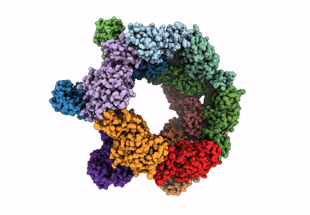 6F9C image