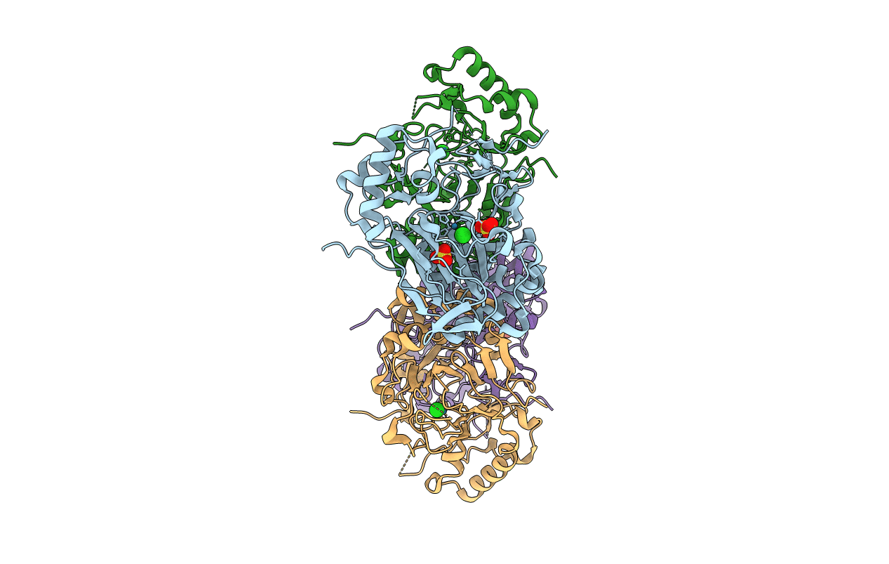 6F9P image