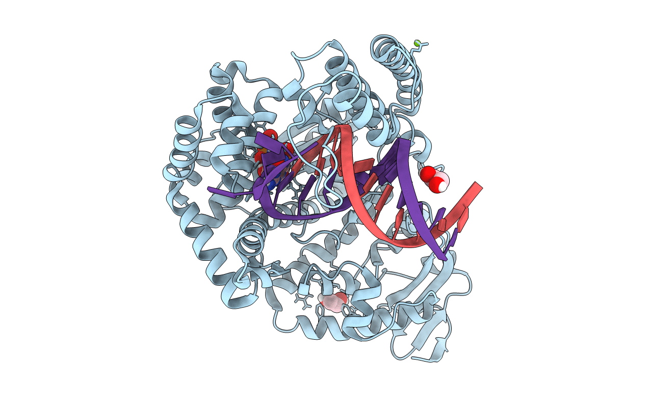 6FBE image