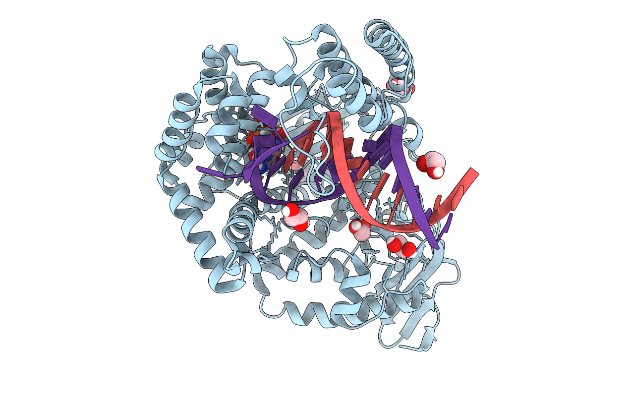 6FBG image