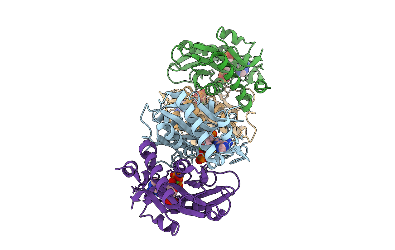 6FCI image