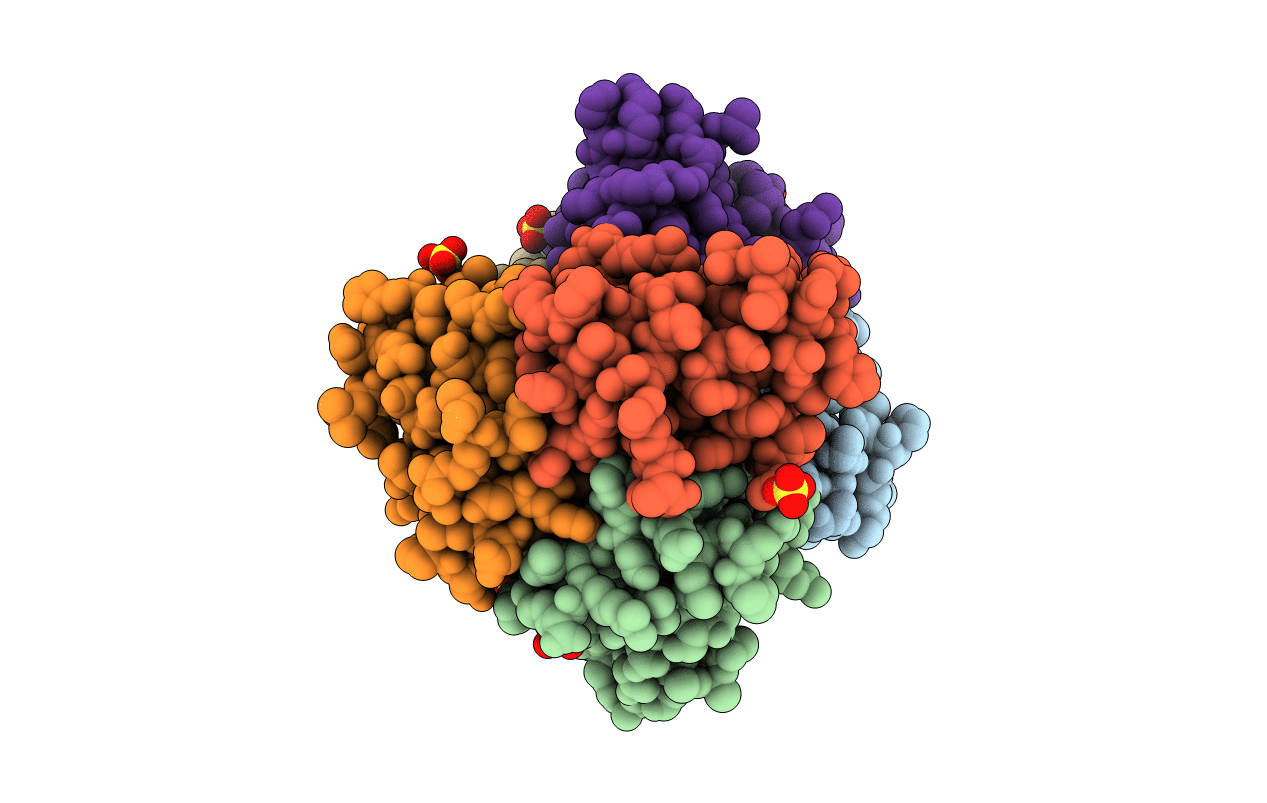 6FDD image
