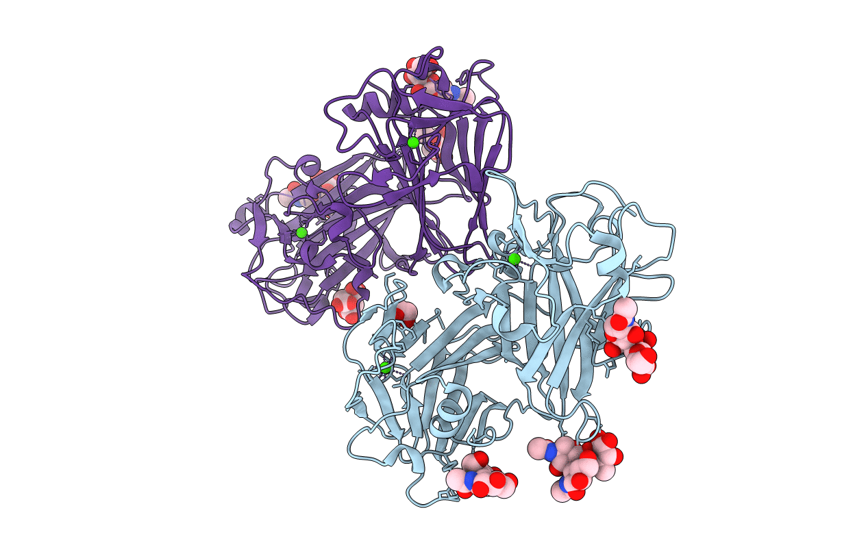 6FIG image