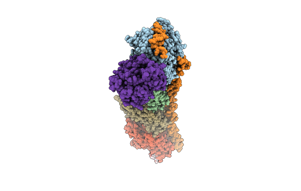 6FII image