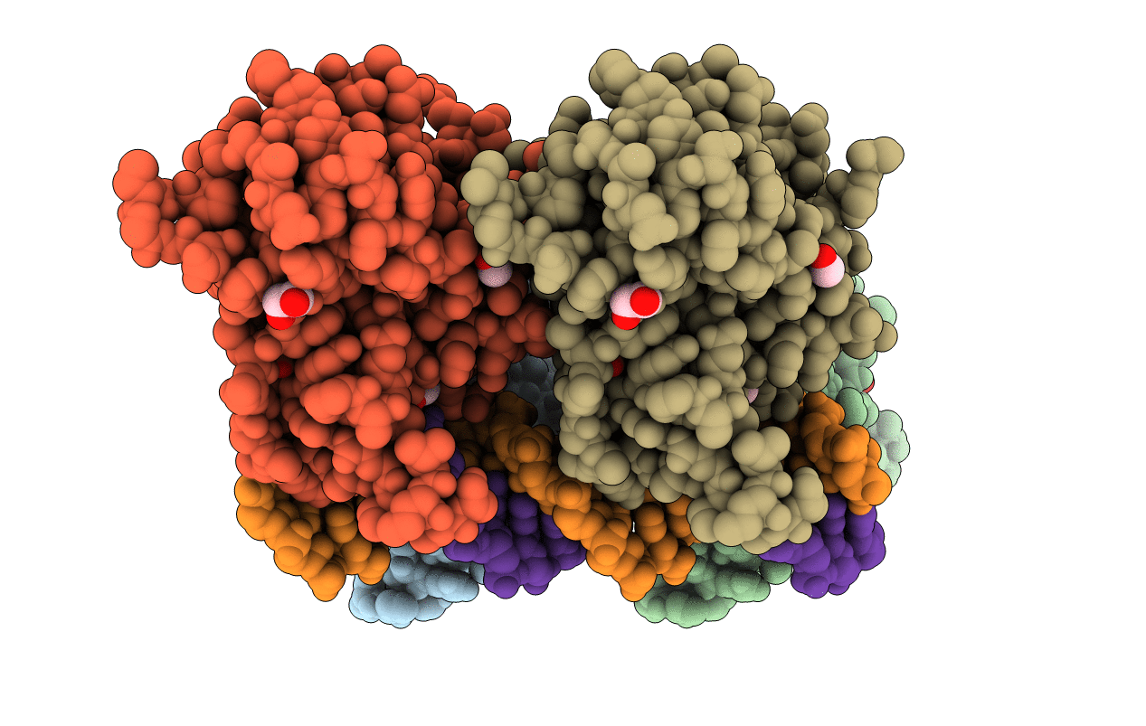 6FJ5 image