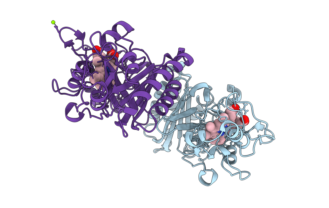 6FKT image