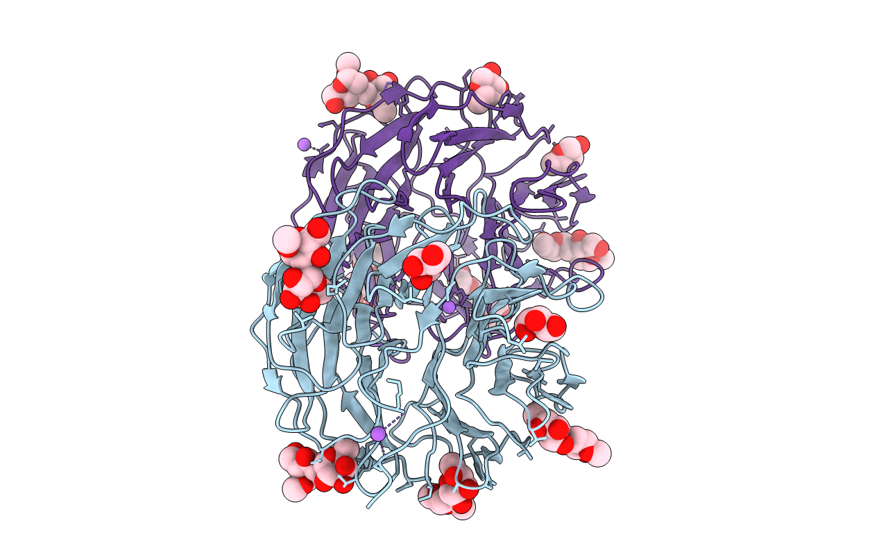 6FLU image