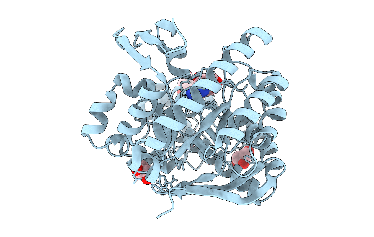 6FMN image