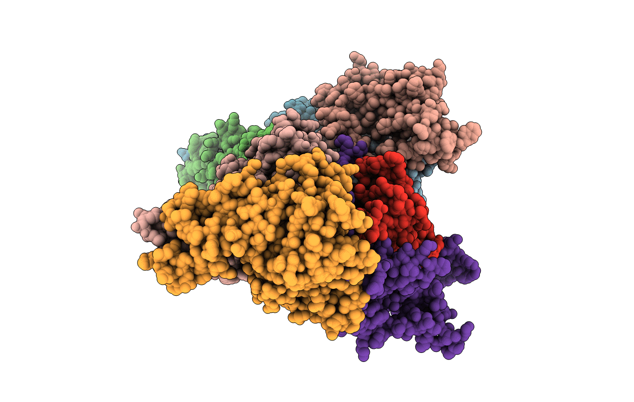 6FNP image