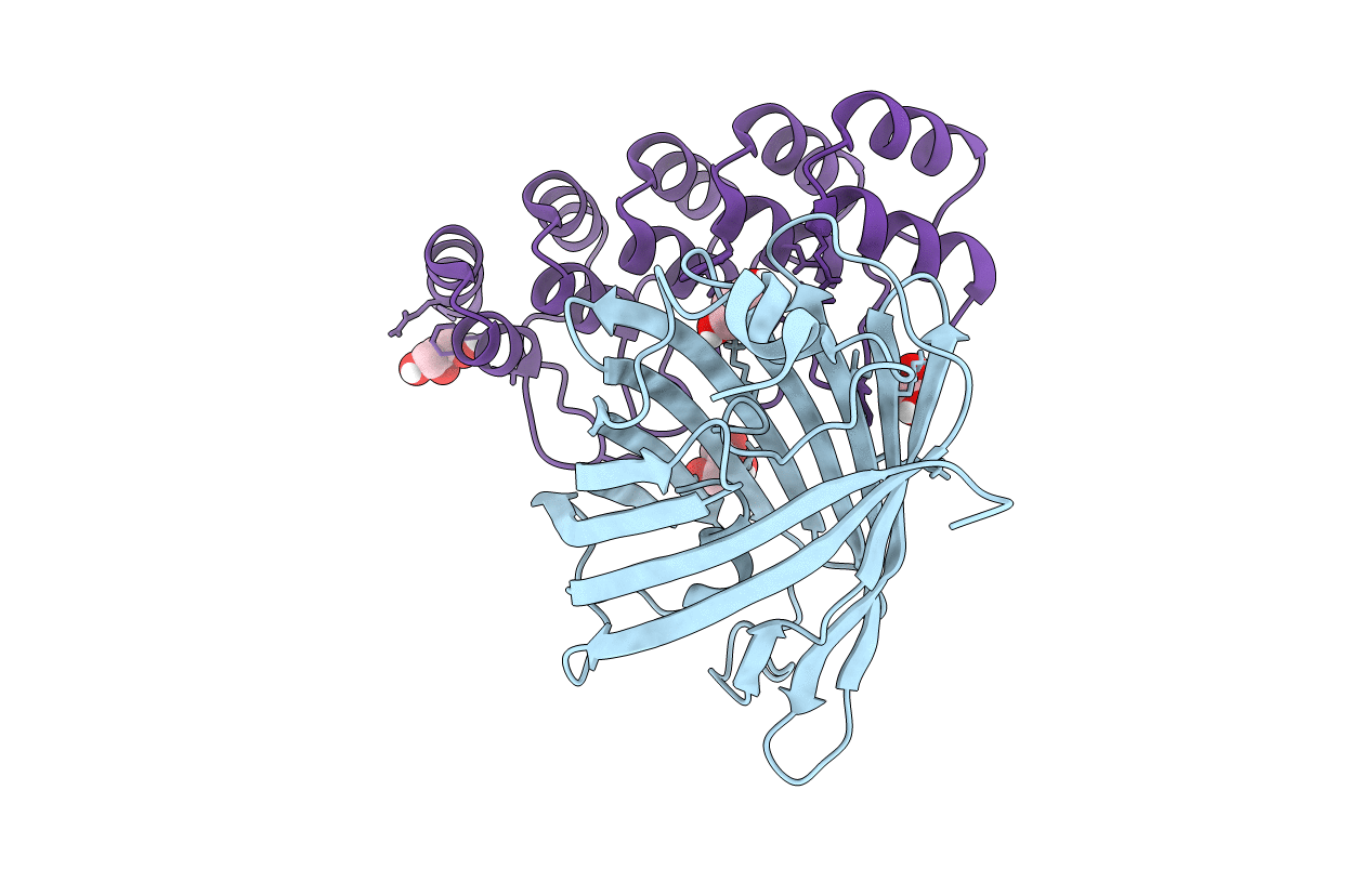 6FP7 image
