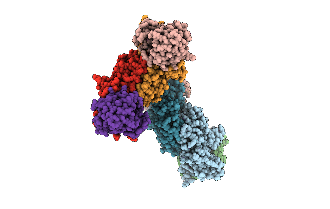 6FPG image