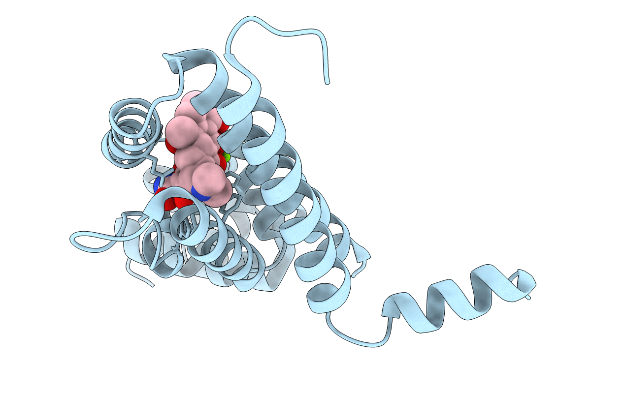 6FPM image