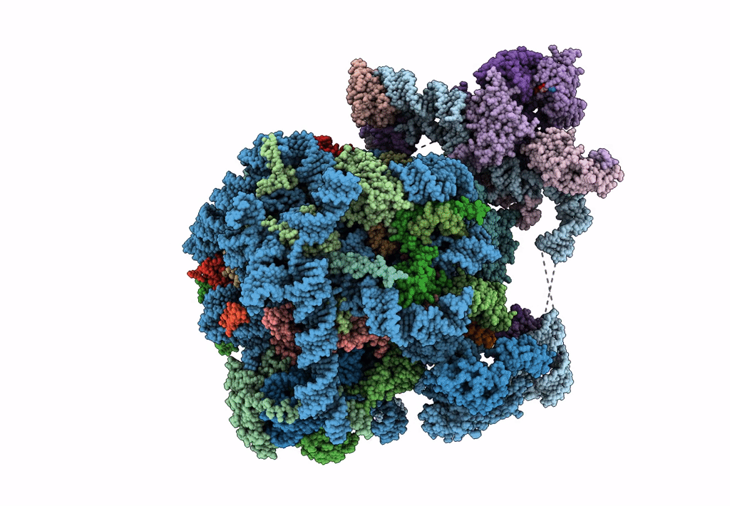 6FRK image
