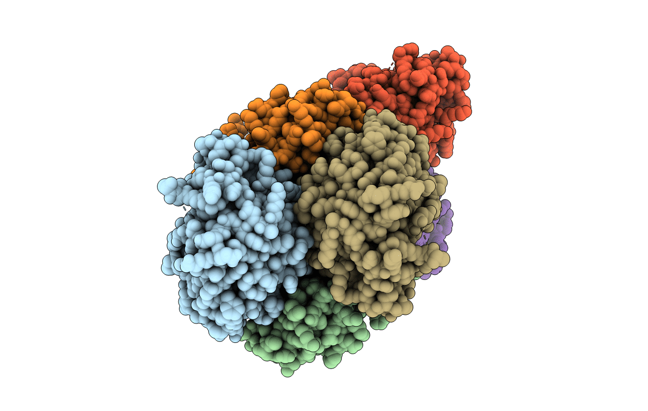 6FS6 image