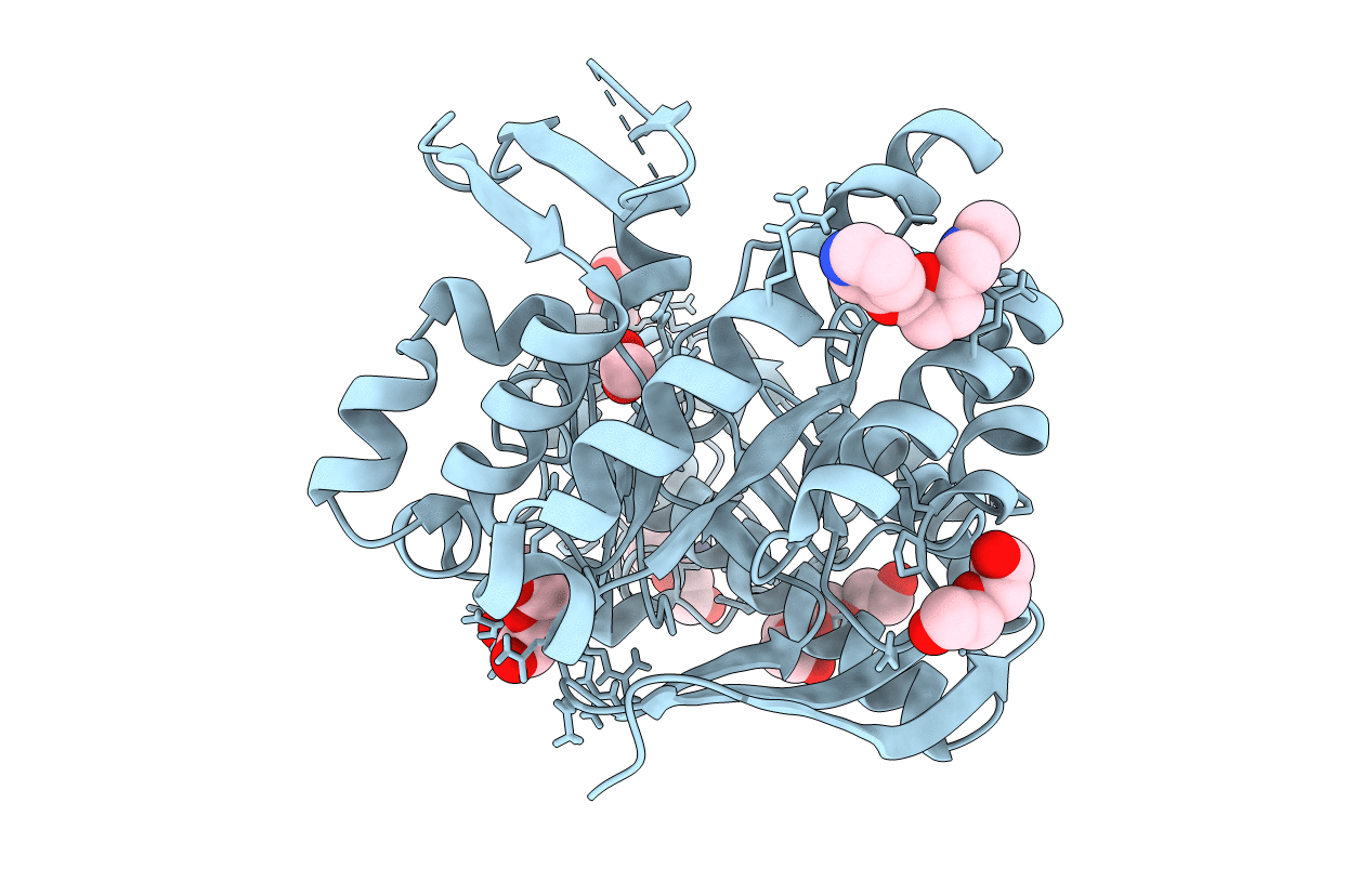 6FSO image