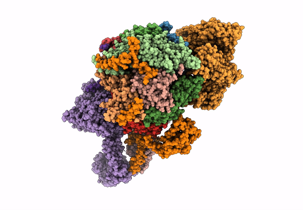 6FSZ image