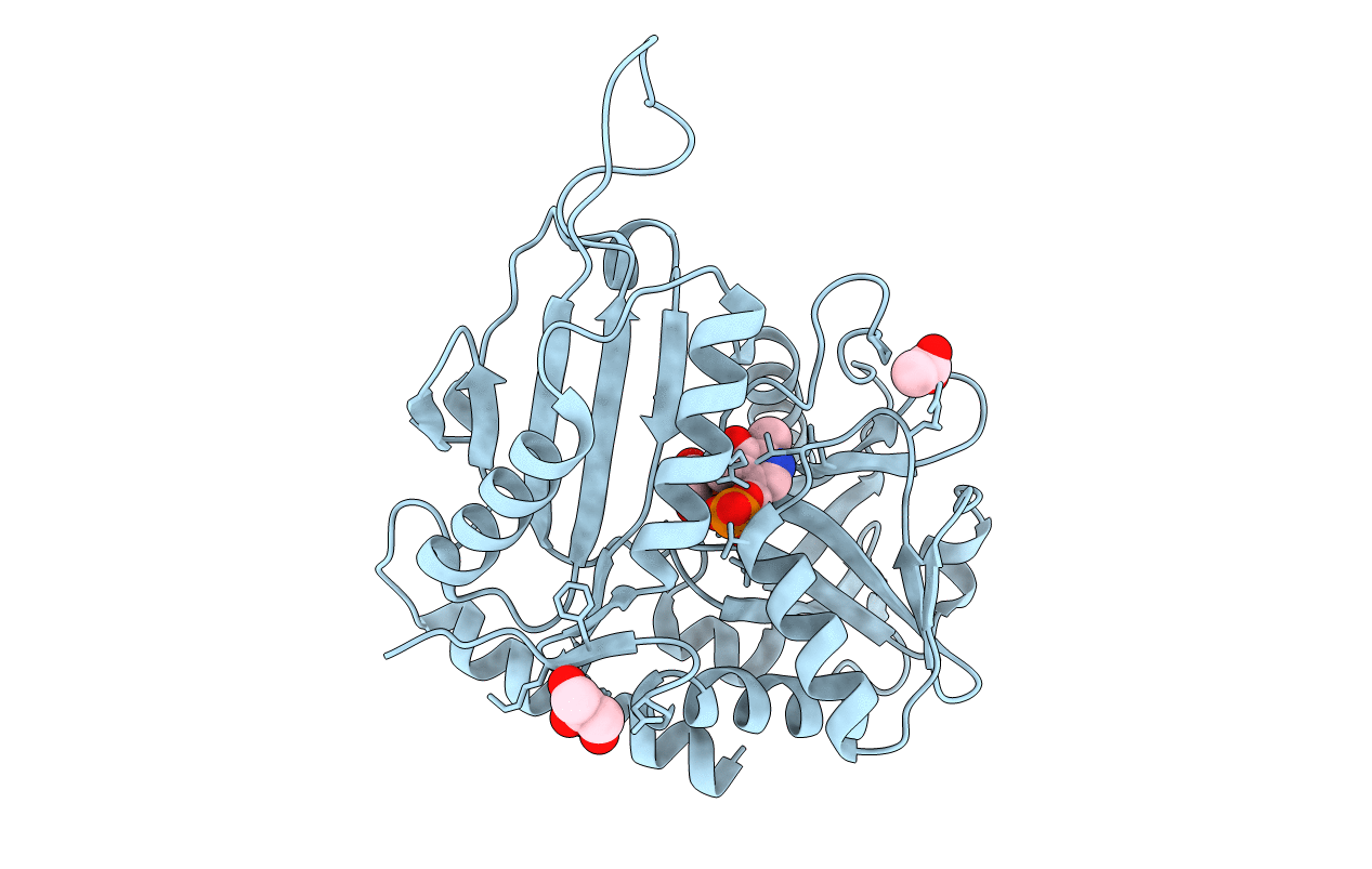 6FTE image
