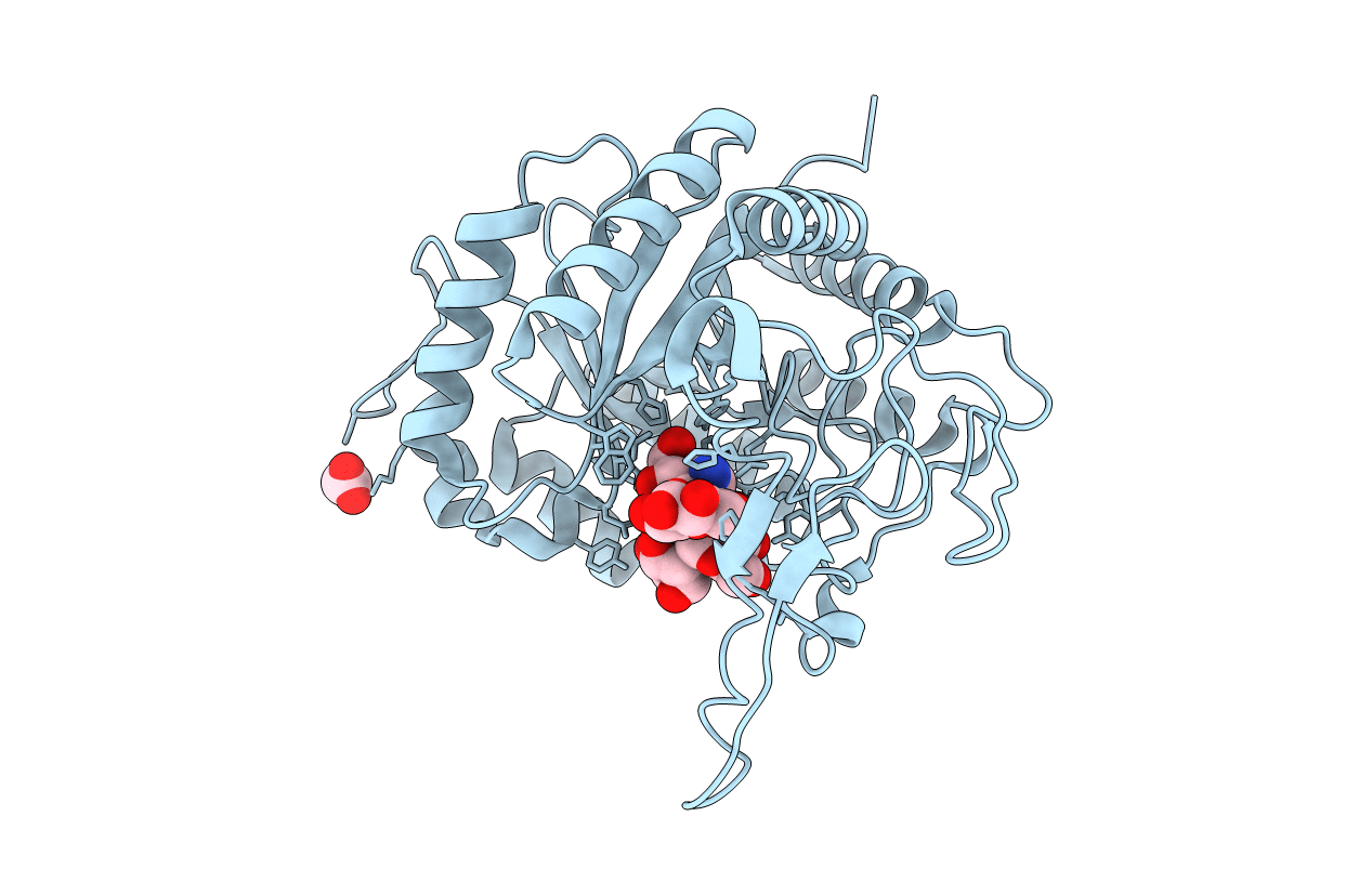 6FWJ image