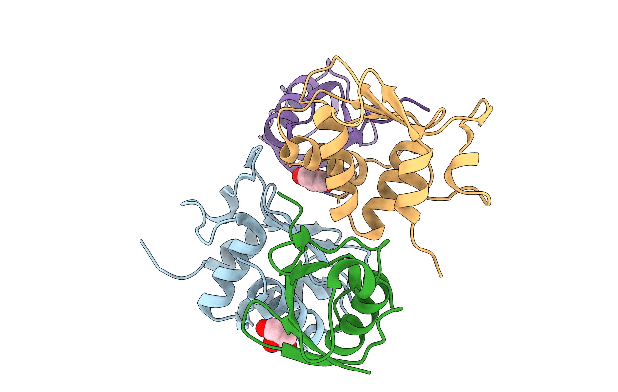 6FX4 image