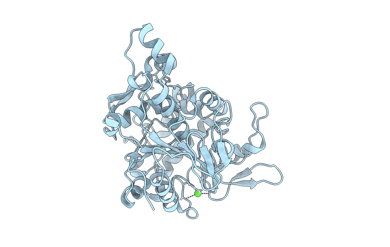 6FZC image