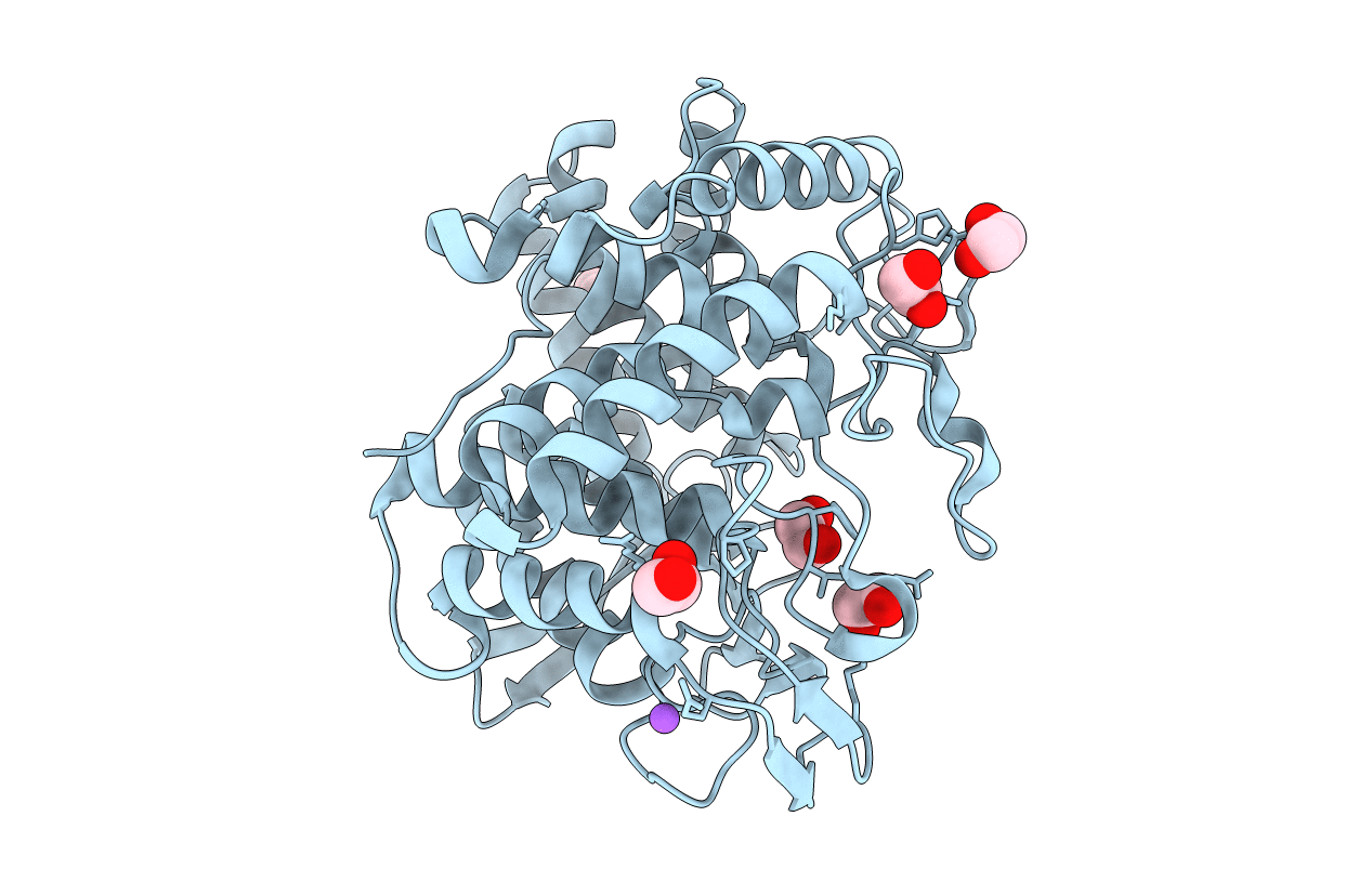 6G00 image